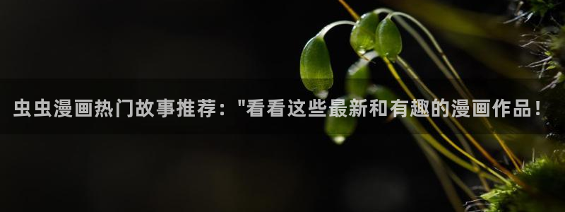 拷贝漫画 copymanager.ory网站