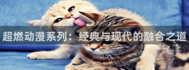 喵趣漫画正版网