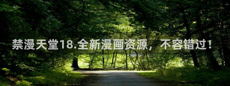 age专注动漫的门户网站