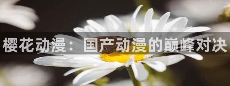 喵趣漫画官网入口老版本：樱花动漫：国产动漫的巅峰对决